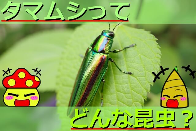 Thumbnail of post image 089